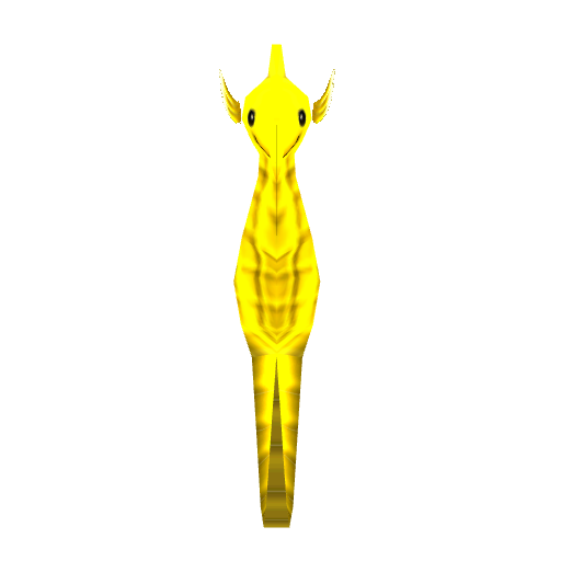 Seahorse