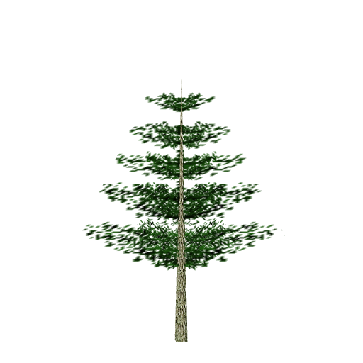 Tree/Shrub