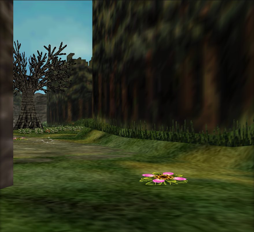 Road to Southern Swamp