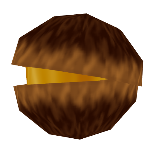 10 Deku Nuts (Trading Post, day)