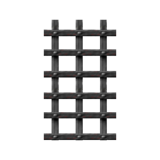 Cell Door (Gerudo Fortress)