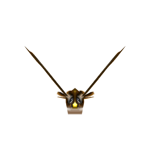 Brown Bird