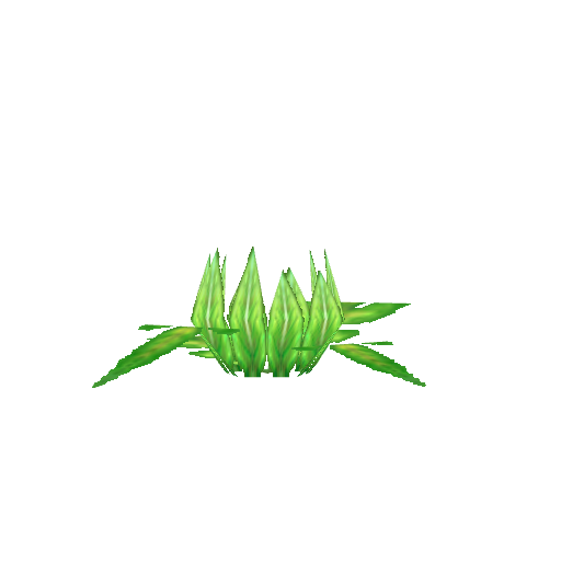 Bombflower