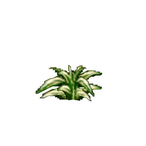 Bush/Grass