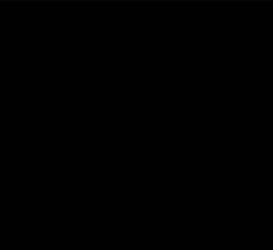 Test / debug