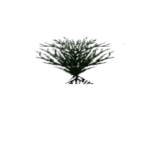 Bush (Black, Small)