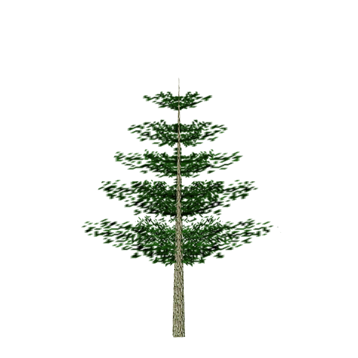 Conical Tree (Spawned)